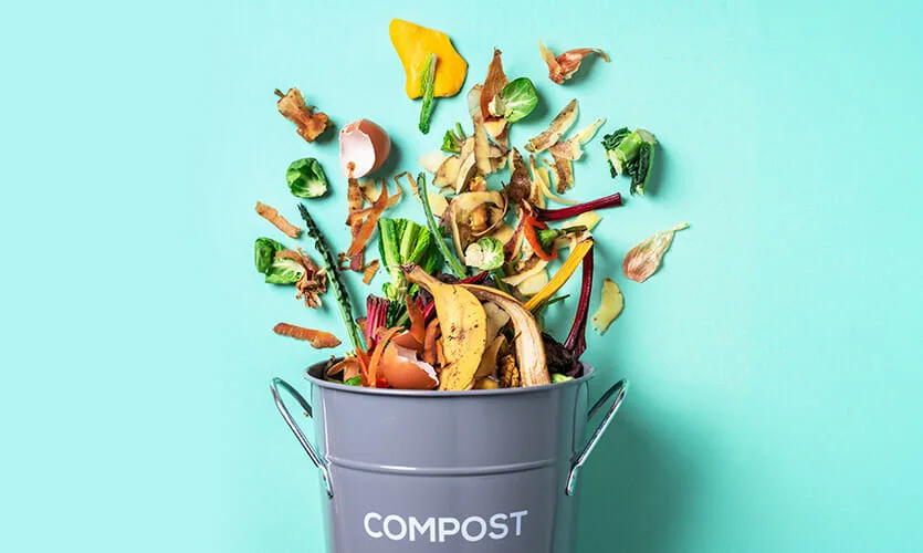 https://quietcompany.co.uk/wp-content/uploads/2020/12/imp-3.webp