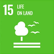 https://quietcompany.co.uk/wp-content/uploads/2020/12/sdg-2.webp